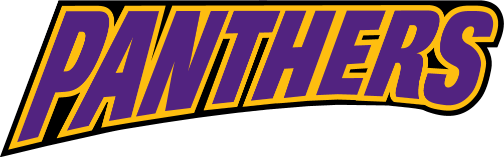 Northern Iowa Panthers 2002-2014 Wordmark Logo v4 diy iron on heat transfer
